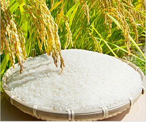 安心・安全の特別栽培米